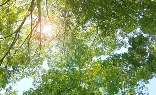 死を想うことは深く生きる道への扉14b